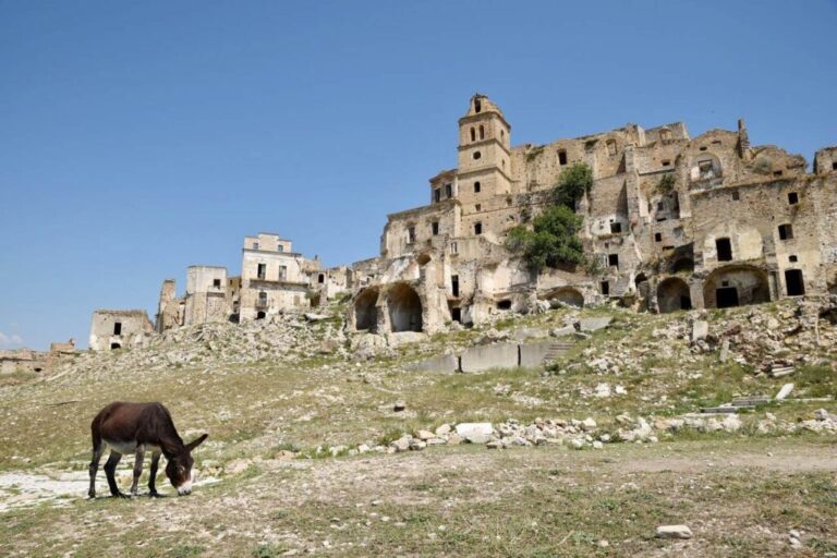 craco3-1024x682